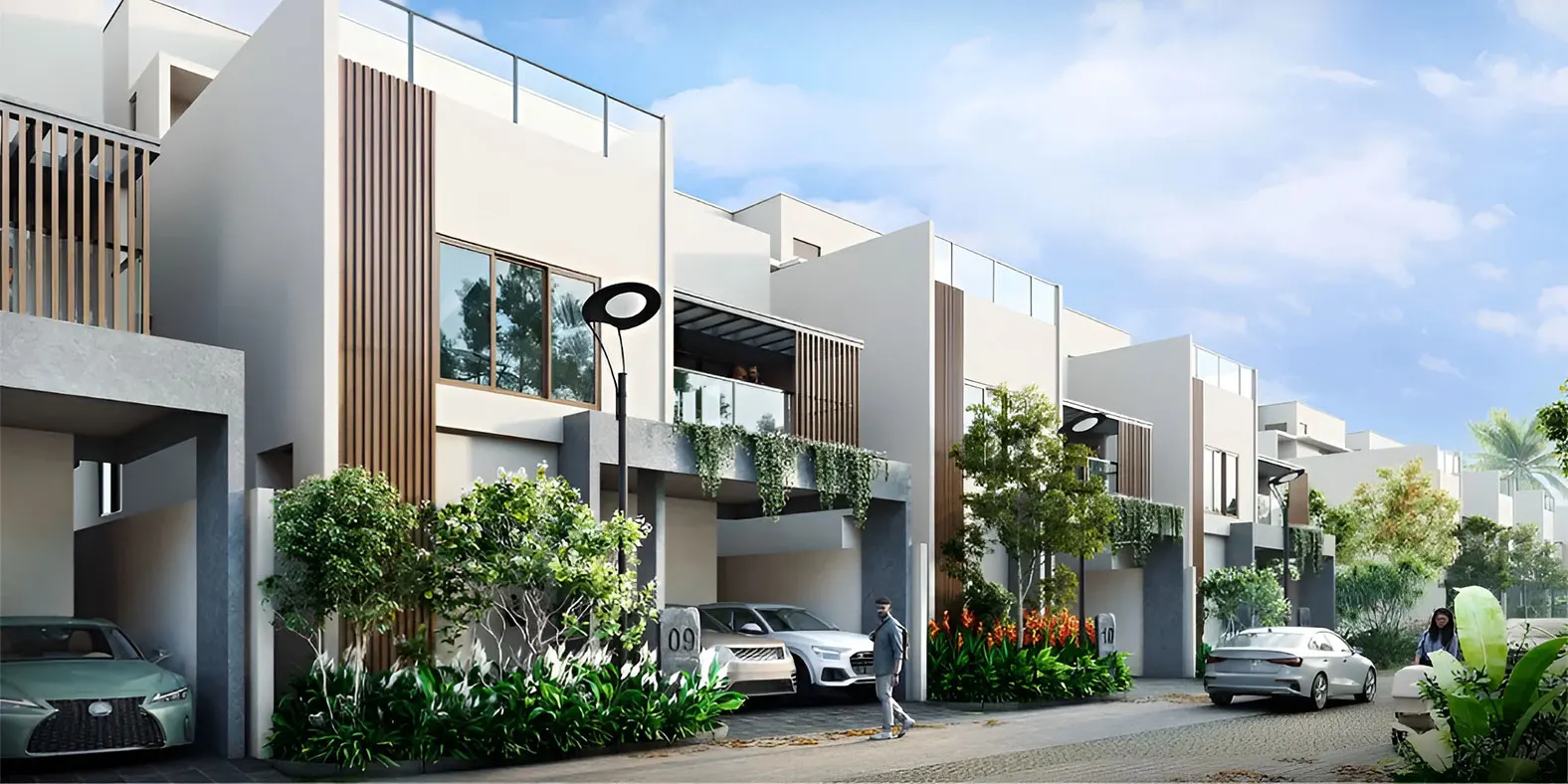 Mana Daintree banner 1