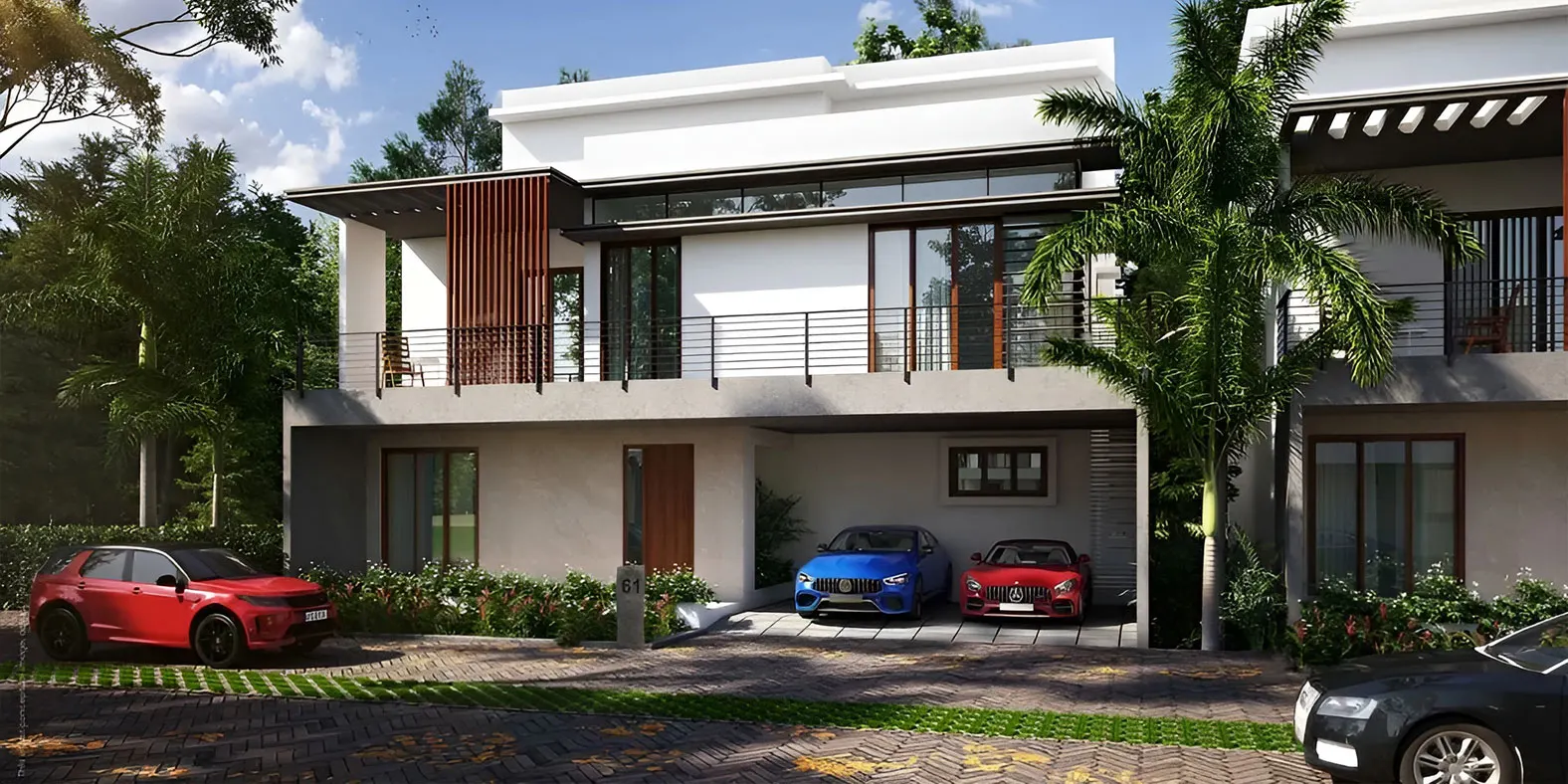 Mana Daintree banner 2