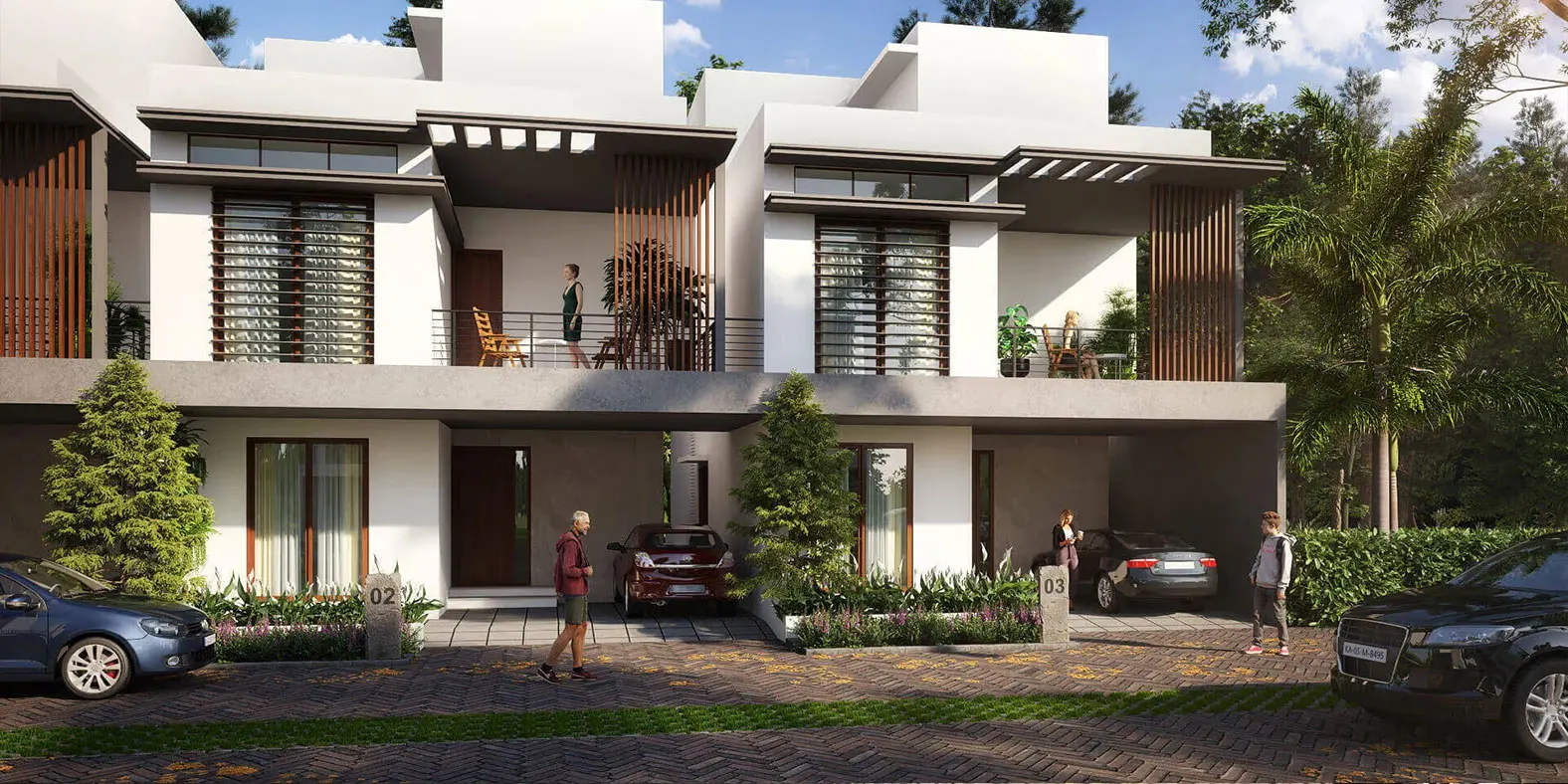 Mana Daintree banner 3